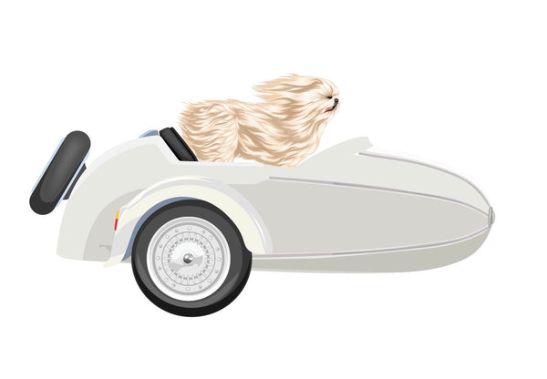 Vintage-Style Sidecars - Cover-Alls Decals