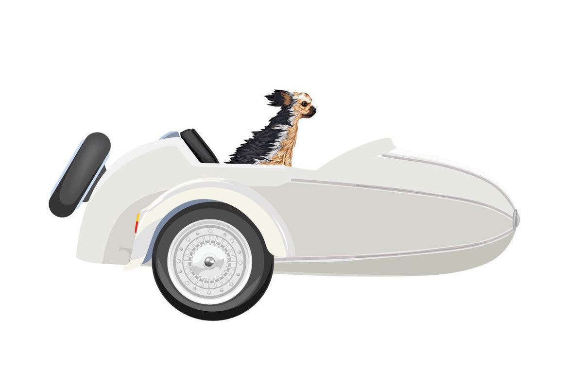Vintage-Style Sidecars - Cover-Alls Decals