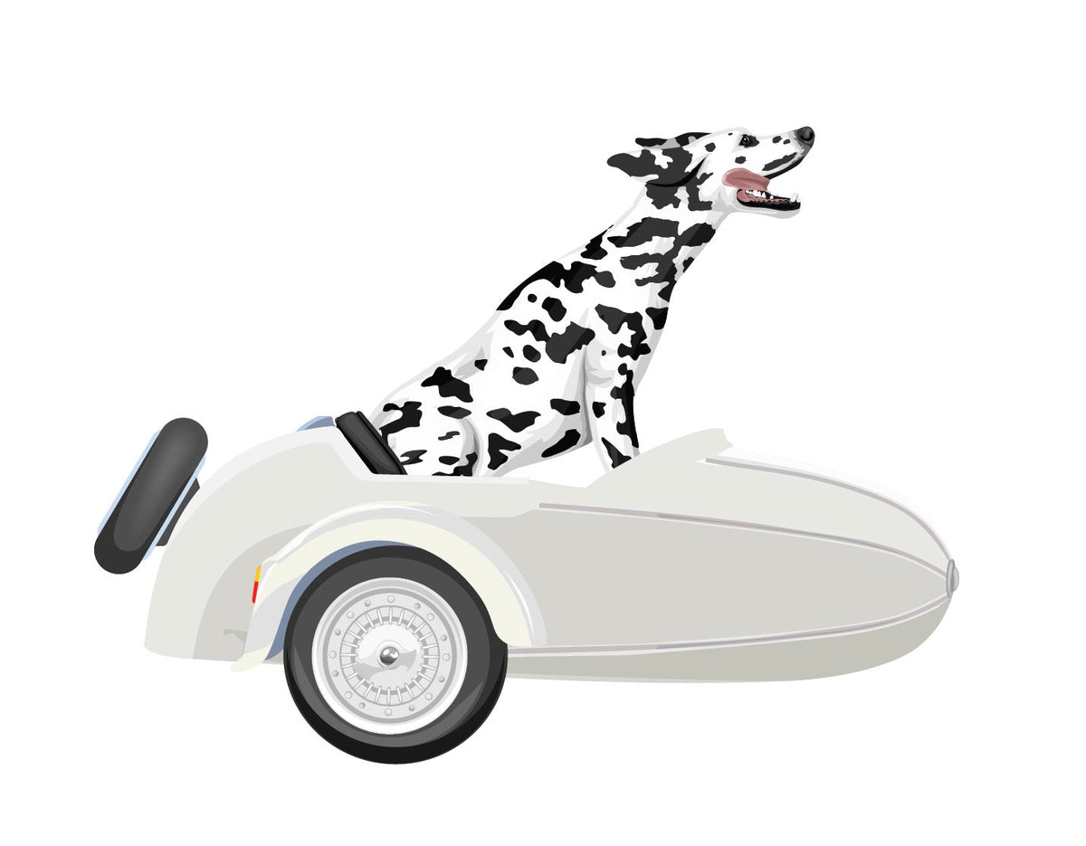 Vintage-Style Sidecars - Cover-Alls Decals