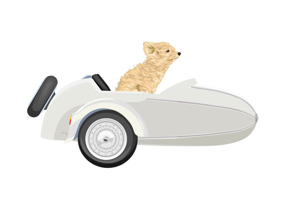 Vintage-Style Sidecars - Cover-Alls Decals