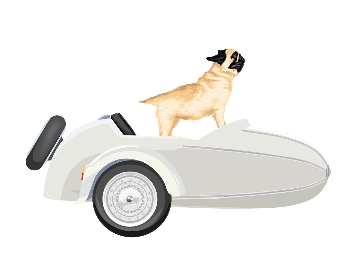 Vintage-Style Sidecars - Cover-Alls Decals