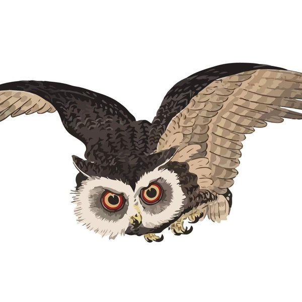 Illustration of a Cover-Alls Woodblock Owl in flight, with its wings spread wide and large, intense red eyes focused forward.