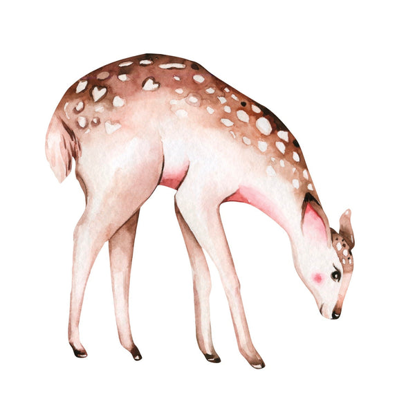 Young Deer Decal - Cover-Alls Decals