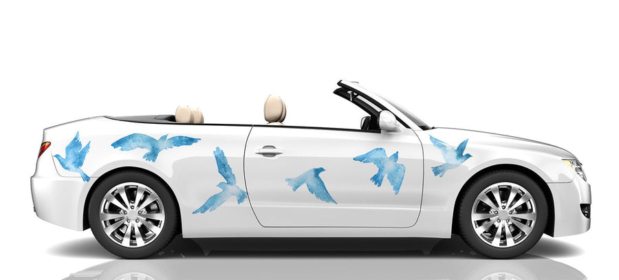 Birds | Car Floats