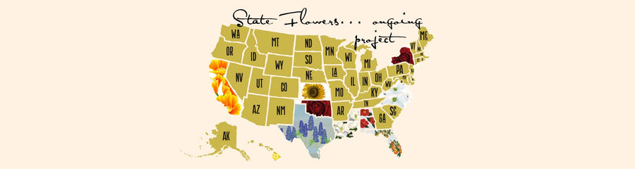 Map of State Flowers we have done so far...