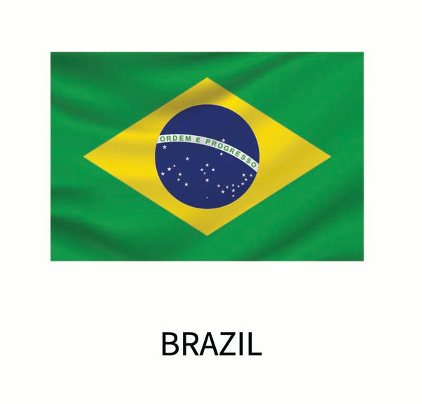 Flag of Brazil decal featuring a green field, yellow diamond, blue globe with stars, and the motto "ordem e progresso," from our Cover-Alls Flags of the World Decals collection.