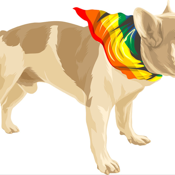 Illustration of a light brown French Bulldog standing with a multi-colored bandana around its neck, perfect for a Custom Pet Drawing by Cover-Alls.