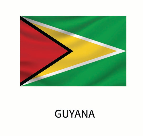Flag of Guyana depicted with a green background, a yellow triangle, and red and black borders, labeled "Guyana" beneath as a Cover-Alls Flags of the World Decal.
