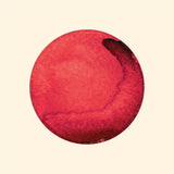 Circular illustration of a red planet resembling Mars with vibrant colors and darker shading on one edge made with Cover-Alls Dot Decals.