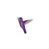Free Sample Hummingbird Decal (just $1 shipping) - CoverAlls Decals