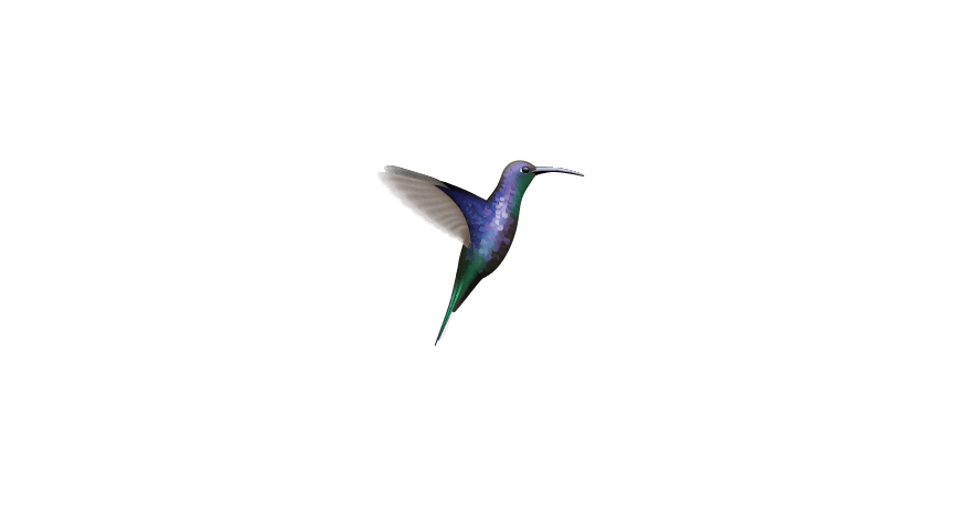 Free Sample Hummingbird Decal (just $1 shipping) - CoverAlls Decals