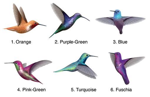 Five jewel-like hummingbirds are illustrated in various shades of red, green, blue, and purple, with wings outstretched in flight on the Cover-Alls Free Sample Hummingbird Decal (just $1 shipping).