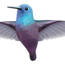  Hummingbird 3