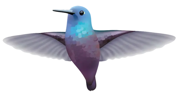 Hummingbird Decals - Cover-Alls Decals