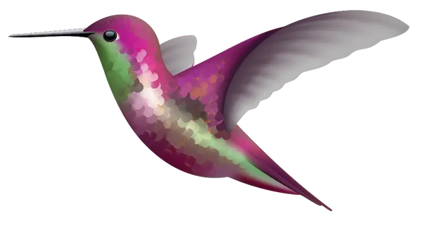 Illustration of a hummingbird with vibrant purple, green, and pink feathers and wings spread in flight, perfect for car or wall decoration. Introducing Hummingbird Decals by Cover-Alls.