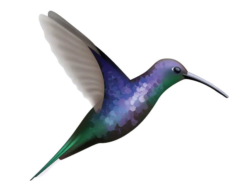 A digital illustration of a colorful hummingbird in mid-flight, perfect for wall decoration, showcasing a gradient of purple, blue, and green feathers with blurred wings. Approx 6” wide, Cover-Alls Hummingbird Decals capture the vibrant beauty that hummingbirds are known for.