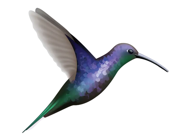 Illustration of a jewel-like hummingbird in mid-flight, featuring a streamlined body, long beak, and iridescent feathers in shades of blue, green, and purple. Product Name: Free Sample Hummingbird Decal (just $1 shipping) Brand Name: Cover-Alls