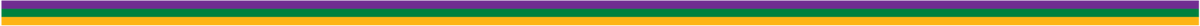 Horizontal stripes in purple, green, and yellow with a festive Mardi Gras flair, in equal proportions from top to bottom can be found on the Mardi Gras Stripe Decal by Cover-Alls.