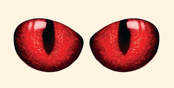 Two large, red, Cat Eye Decals with narrow black pupils, set against a light beige background by Cover-Alls.
