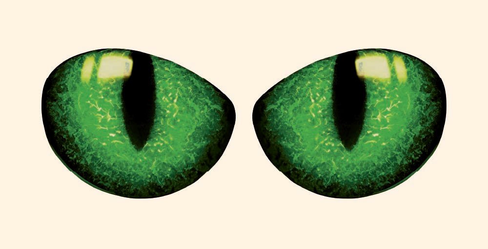A pair of Cover-Alls stylized cat eyes decals with vivid green irises and dilated pupils, depicted against a pale background in the neighborhood.