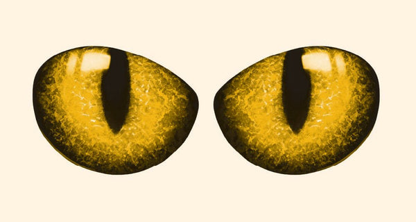 Two identical yellow cat eyes with narrow black pupils, set against a pale neighborhood background were created using Cover-Alls Pair of Cat Eye Decals.