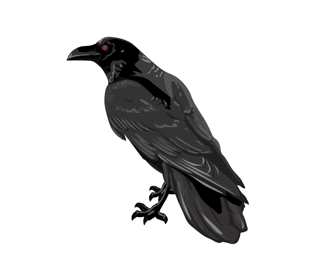 A detailed illustration of a Black Raven standing sideways on a green background, with a glossy feather texture and a red eye.