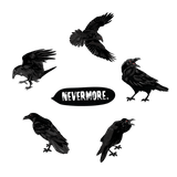 Six Red-Eyed Ravens in various poses with the word 