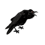 Illustration of a Red-Eyed Ravens raven standing with its beak open, set against a solid green background from Cover-Alls.