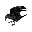  Raven landing