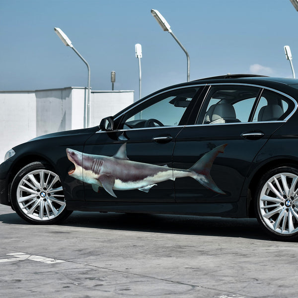 Black sedan with Cover-Alls Scary Shark Decals on the side, parked under a clear sky on a concrete area with street lamps in the background.