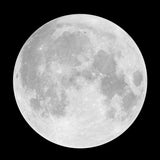 A full moon against a black background, displaying its detailed surface with visible craters and lunar maria, adds a celestial touch reminiscent of the sophisticated Silver or Yellow Moon Decal by Cover-Alls.