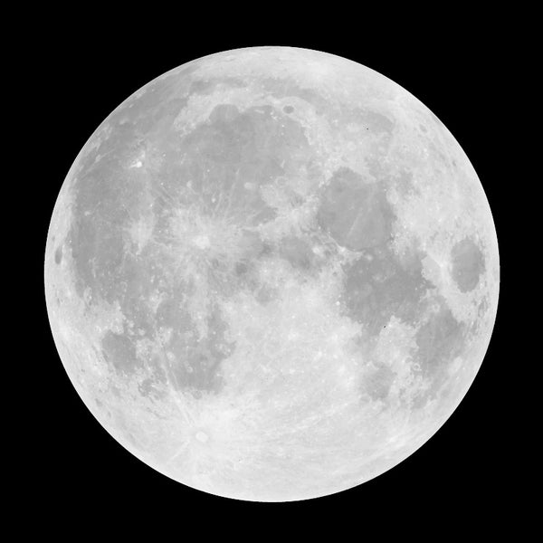 A full moon against a black background, displaying its detailed surface with visible craters and lunar maria, adds a celestial touch reminiscent of the sophisticated Silver or Yellow Moon Decal by Cover-Alls.