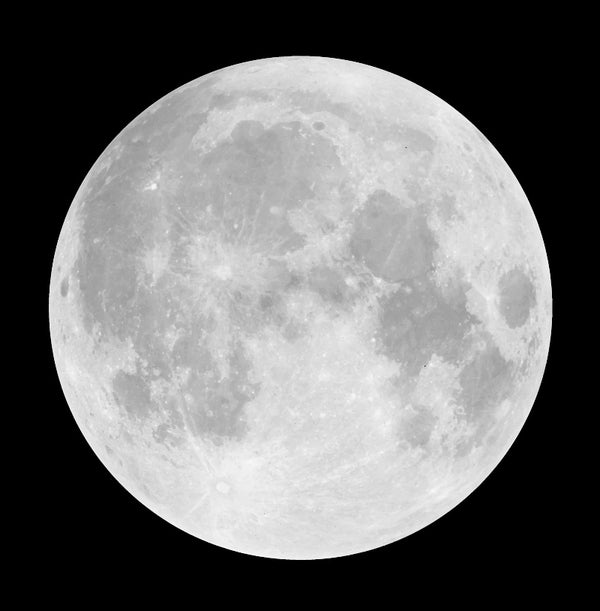 A full moon against a black background, displaying its detailed surface with visible craters and lunar maria, adds a celestial touch reminiscent of the sophisticated Silver or Yellow Moon Decal by Cover-Alls.