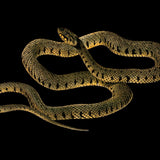 A coiled snake with a greenish-brown pattern and a slender, elongated body, reminiscent of the Cover-Alls Striped Vintage Snake Decal, set against a black background.