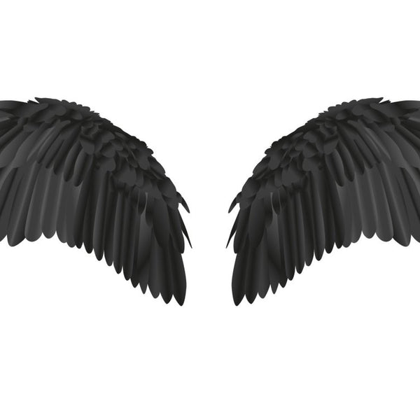 A pair of large, symmetrically arranged Cover-Alls raven black wings spread out against a white background.