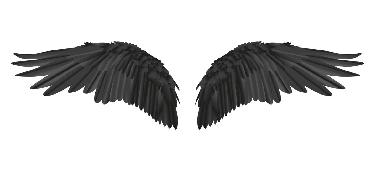 Two CoverAlls Black Wings on a white background.