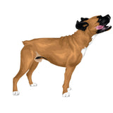 Life-Sized Boxer Decal - Cover-Alls Decals