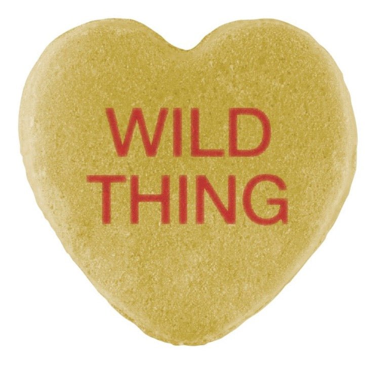 A heart-shaped cookie with "wild thing" written in red icing, perfect for Valentine's Day from Cover-Alls Candy Hearts.