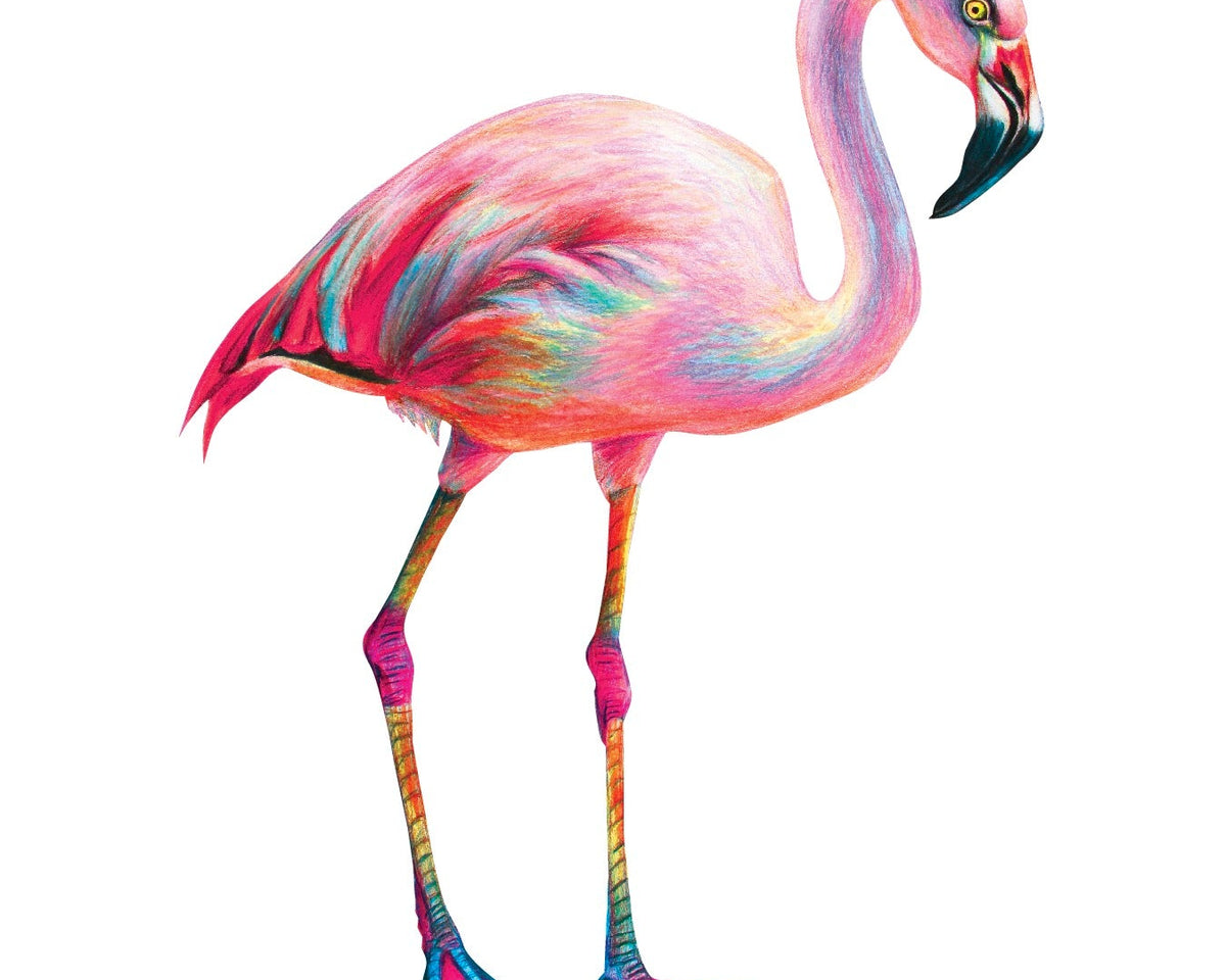 Colorful Flamingo - Car Floats Reusable Car Decals