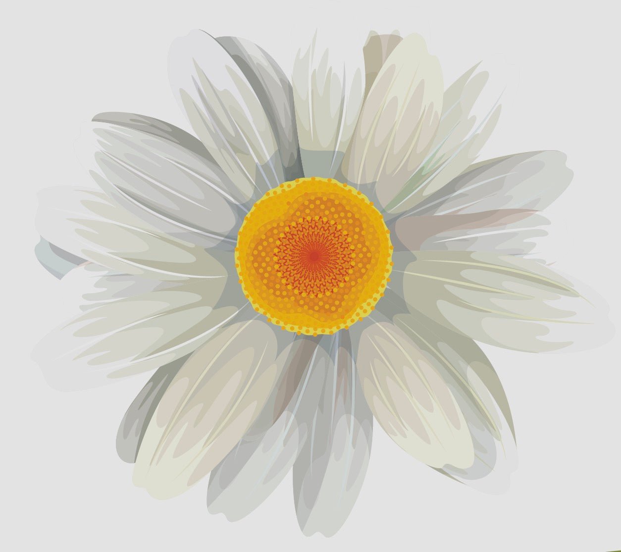 Daisy decals — Cover-Alls Decals