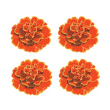 Four Day of the Dead Marigolds on a white background Halloween themed decal.