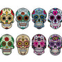 A set of Day of the Dead Painted Skull Calaveras with a Halloween themed decal on a white background.