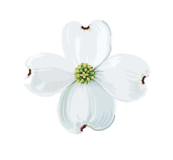 Dogwood Blossoms and Leaf Decals - Car Floats Reusable Car Decals
