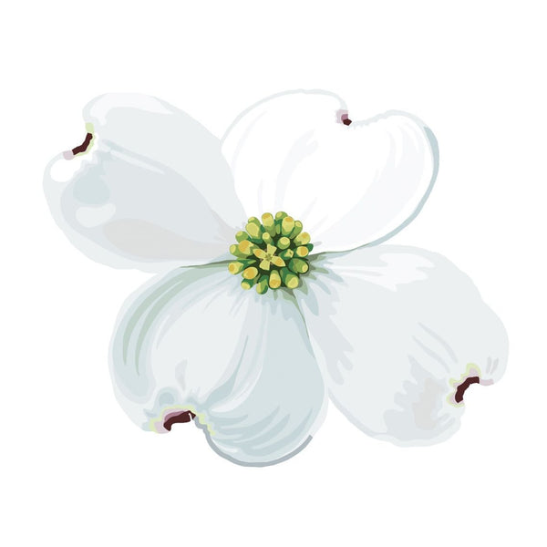 Dogwood Blossoms and Leaf Decals - Car Floats Reusable Car Decals