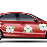 Dogwood Blossoms and Leaves - Car Floats Reusable Car Decals