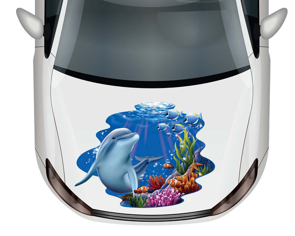 Dolphin Coral Reef Tableau. - Car Floats Reusable Car Decals