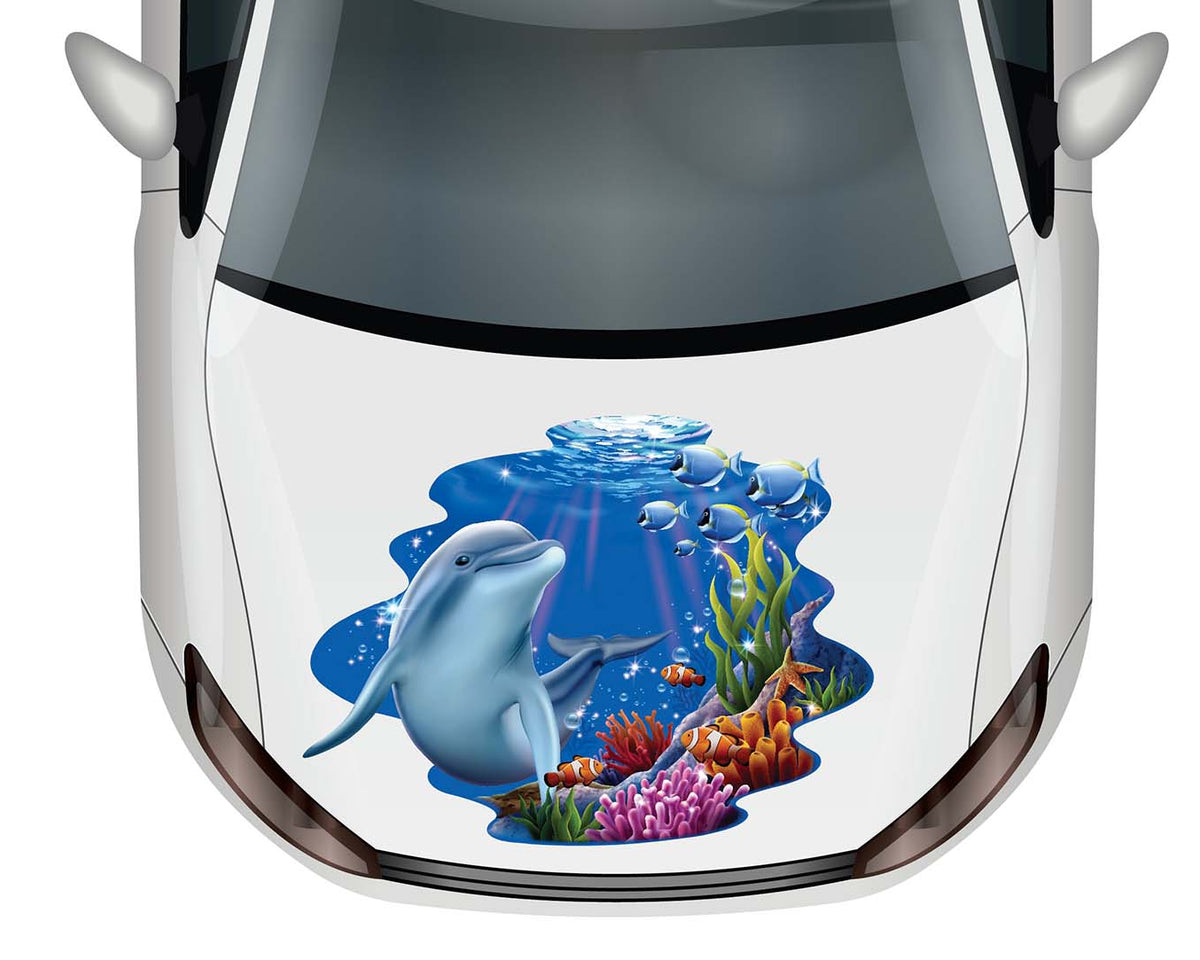 Dolphin Coral Reef Tableau. - Car Floats Reusable Car Decals