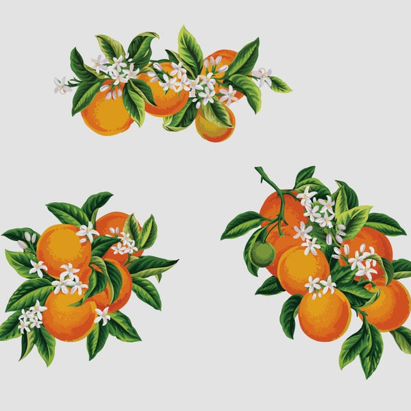 Florida Orange Blossoms - Car Floats Reusable Car Decals