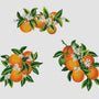Florida Orange Blossoms - Car Floats Reusable Car Decals