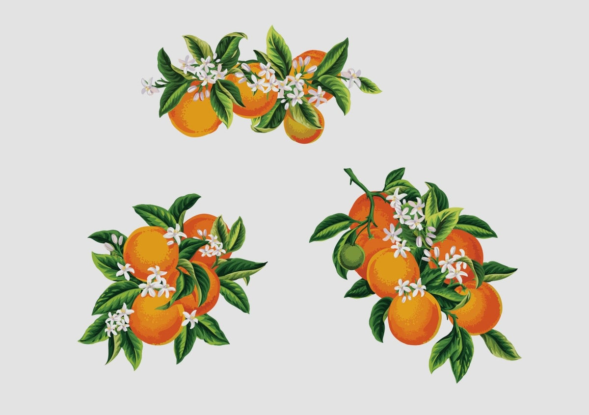 Florida Orange Blossoms - Car Floats Reusable Car Decals